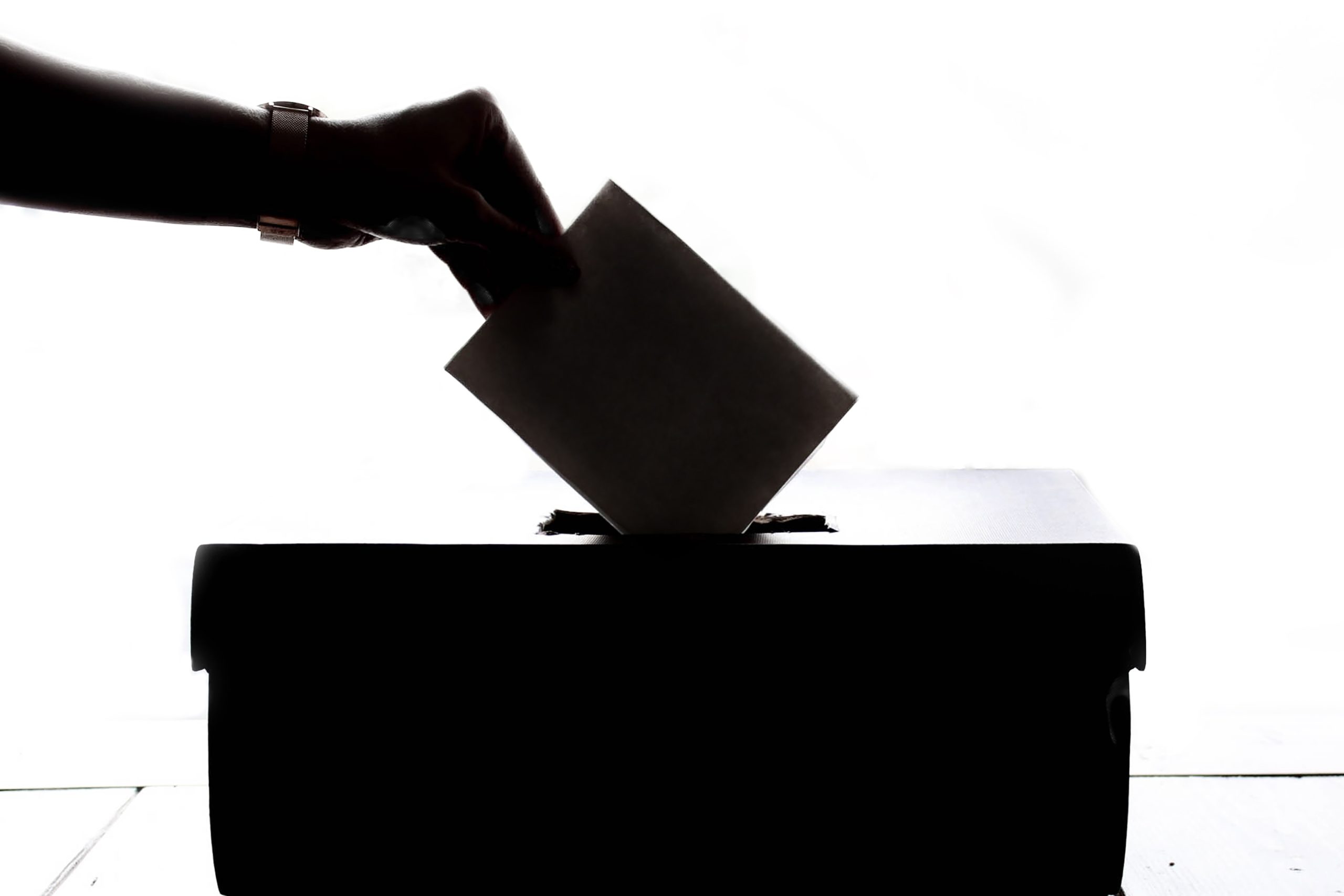 Online Voting System Project