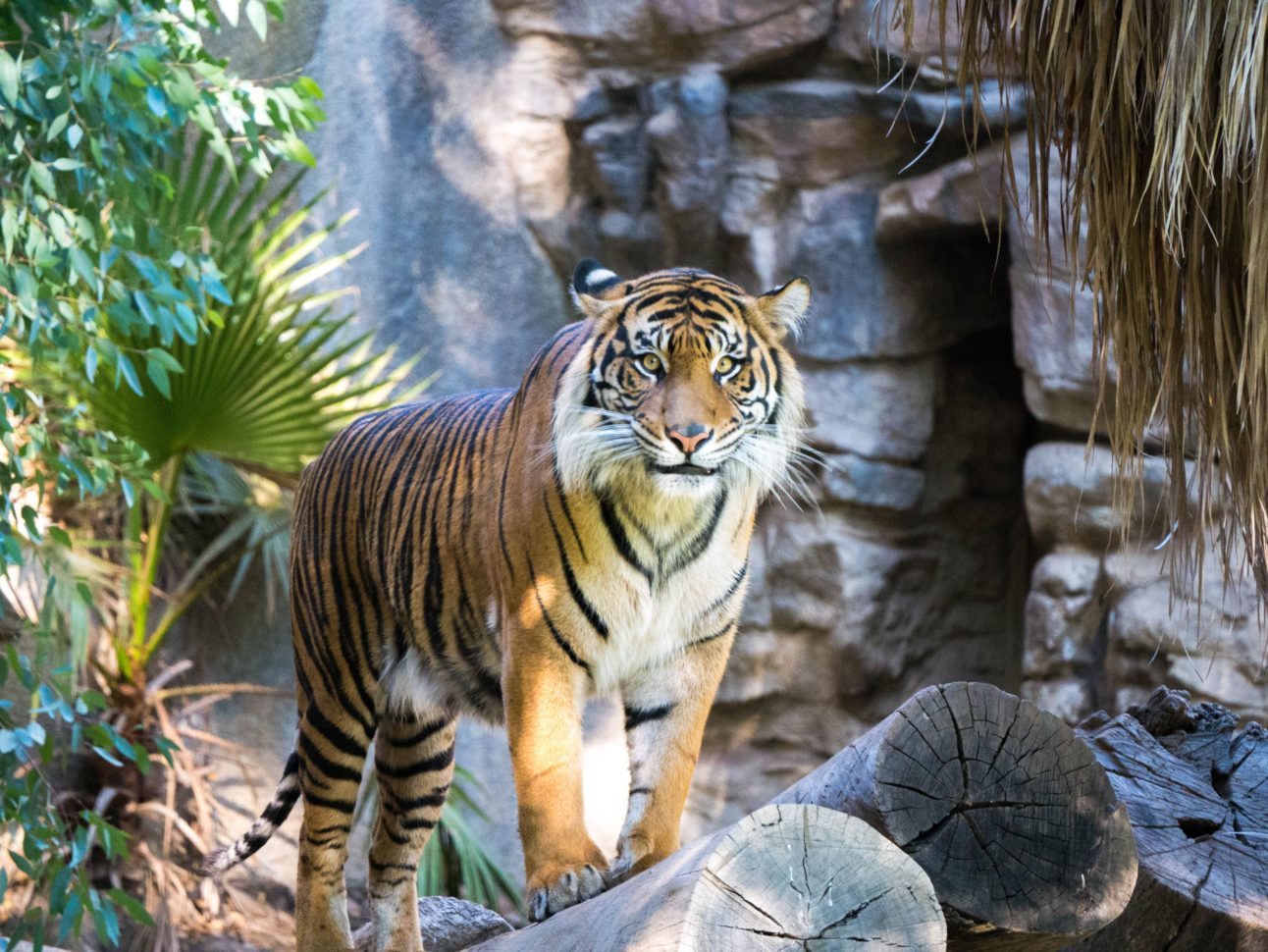 Web Portal for natural Resources & Wildlife Project Report
